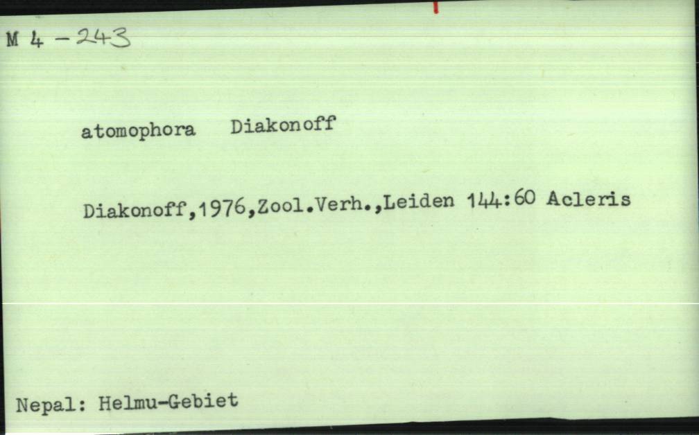 front of card